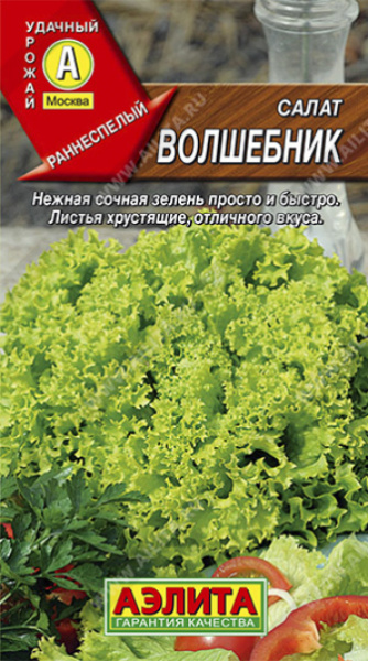 УТ000004506_0